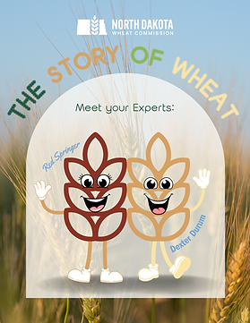 The Story of Wheat (4th-6th).png