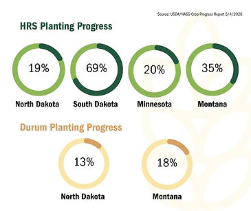 Planting Progress 5426 (2).jpg