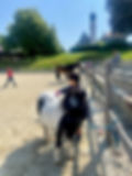 Riding horses during luxury family travel