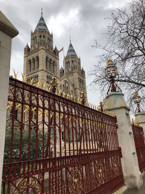 Natural History Museum