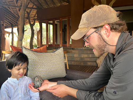 Child on Safari in a Malaria-Free Lodge in South Africa