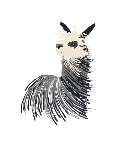 Hands-On Alpaca Training Courses for Beginners - illustration of Winsaula joker