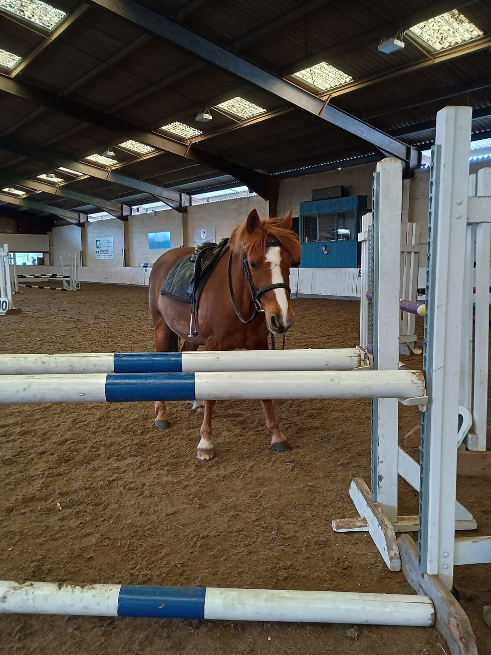 Josephine and her flying machine!