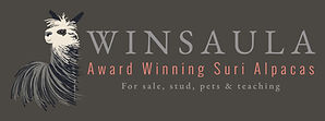 Winsaula Alpacas Logo in Landscape for Award Winning Suri Alpacas - primary full colour lo