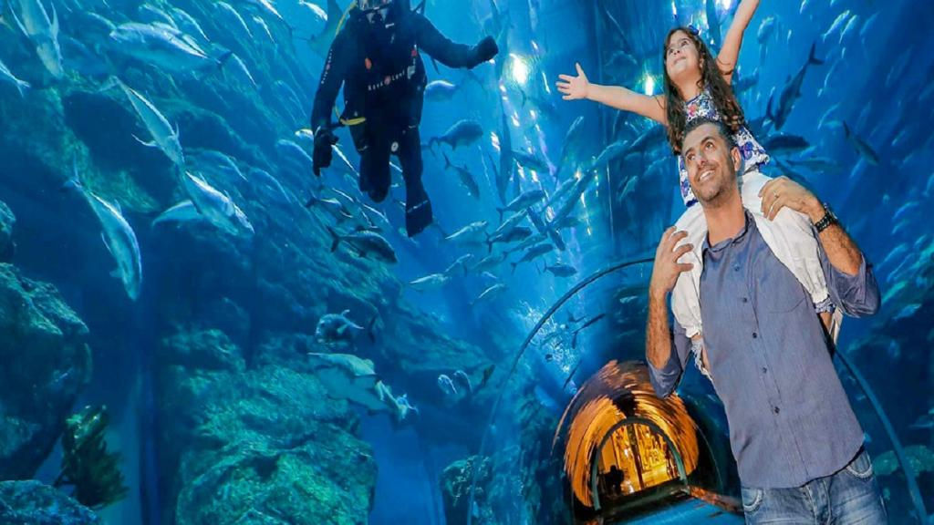 Dubai Mall Aquarium and Penguin Cove – Ticket with Sharing Transfers