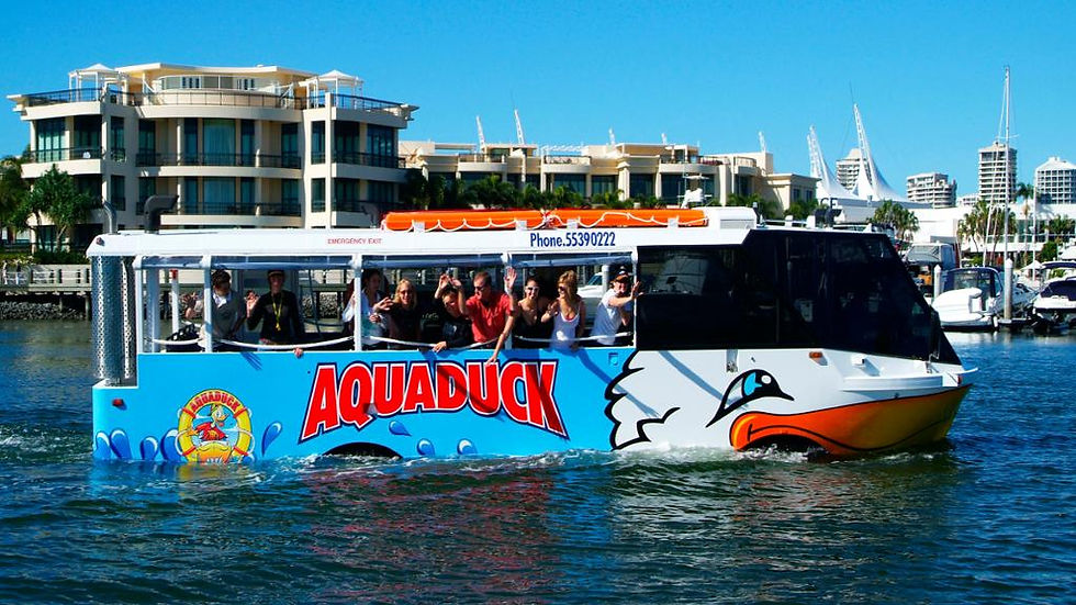Thumbnail: Aquaduck Sunshine Coast and Mooloolaba Tour