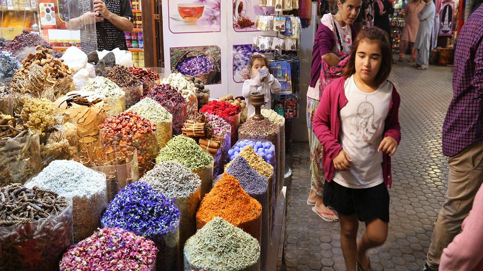 Thumbnail: Dubai City Tour with Blue Mosque Visit - Half-Day Guided Tour
