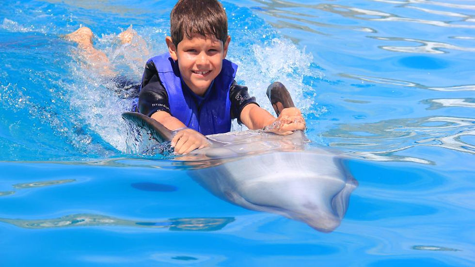 Thumbnail: Dolphin Adventure