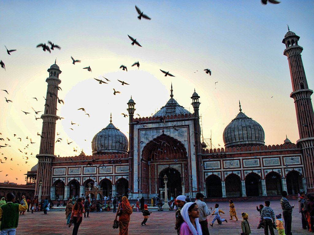 Full day Private Delhi City Tour