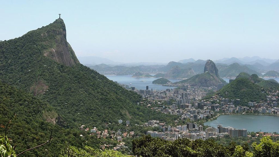 Thumbnail: Tijuca Forest