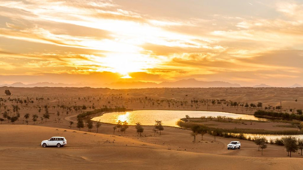 Thumbnail: Platinum Desert Safari