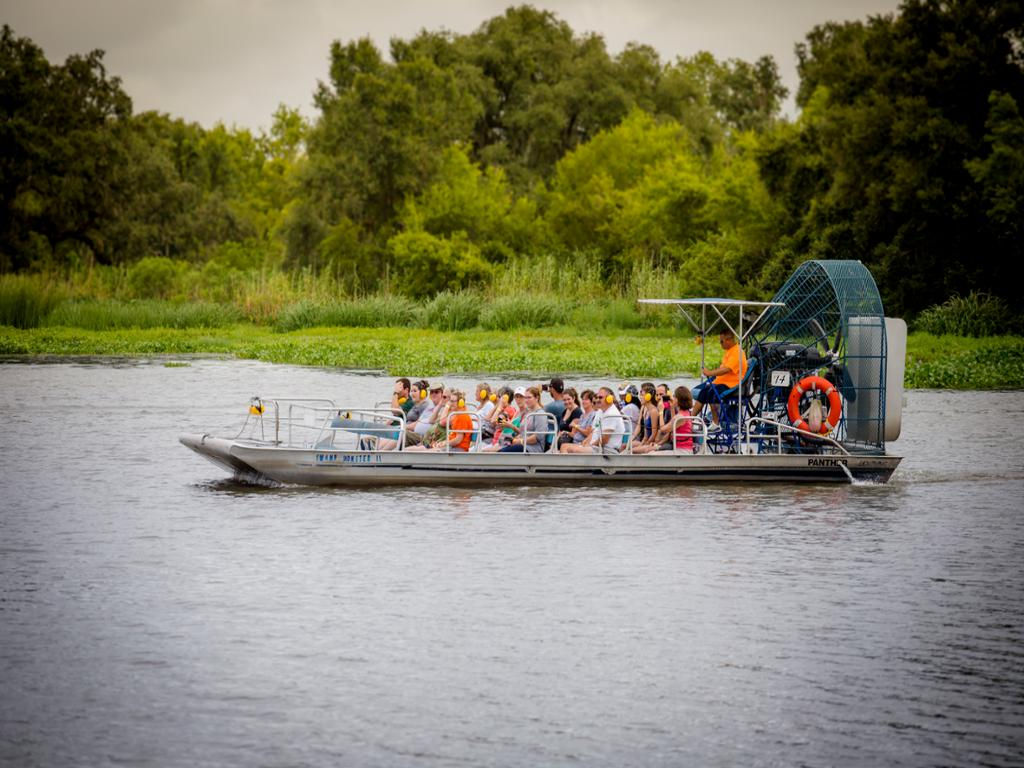 Small Airboat Swamp tour
