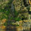 Thumbnail: Tasman Island Wilderness Cruise - From Port Arthur