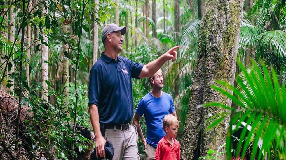 Thumbnail: Enjoy The Tastes of Tamborine - Premium Tour