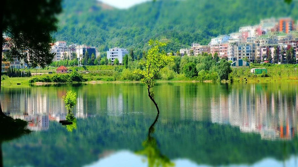 Thumbnail: Tirana Explorer - Half-Day Walking Tour