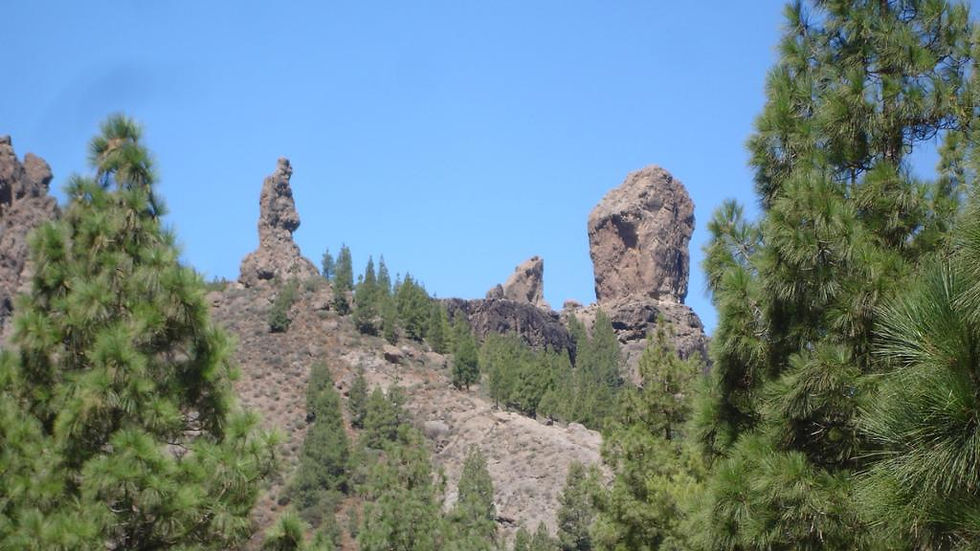 Thumbnail: Summits of Gran Canaria and Roque Nublo - Full-Day Tour