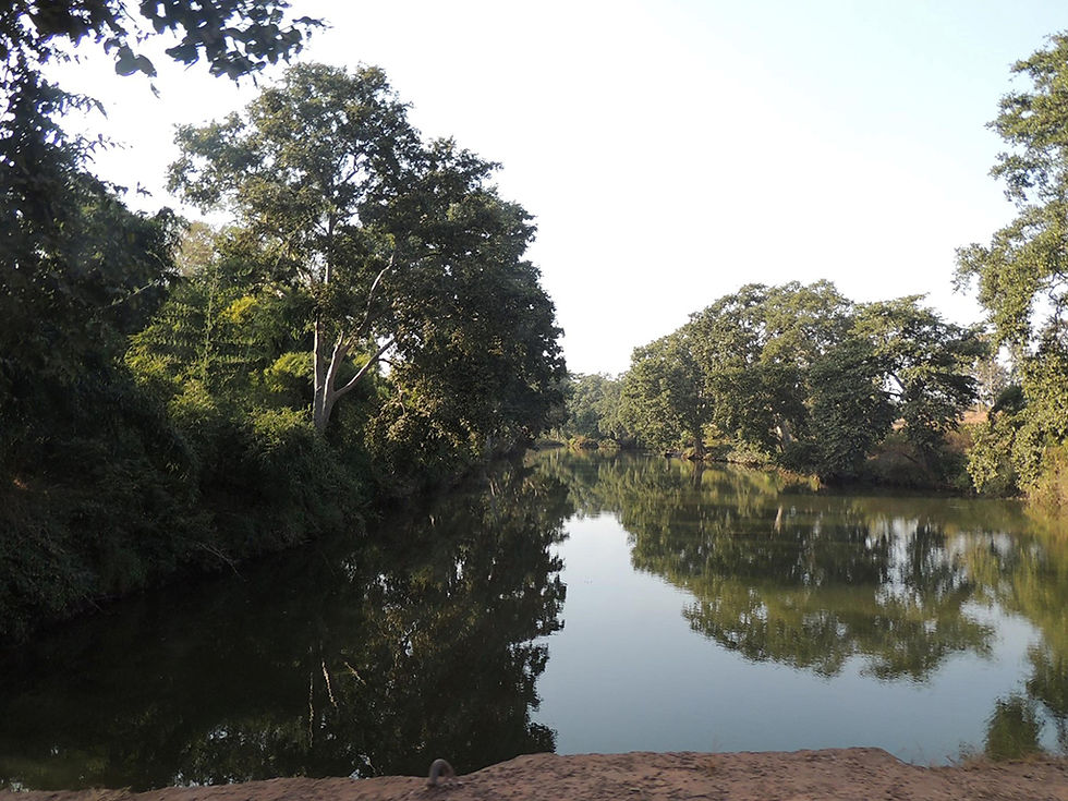 Thumbnail: Panna National Park private tour