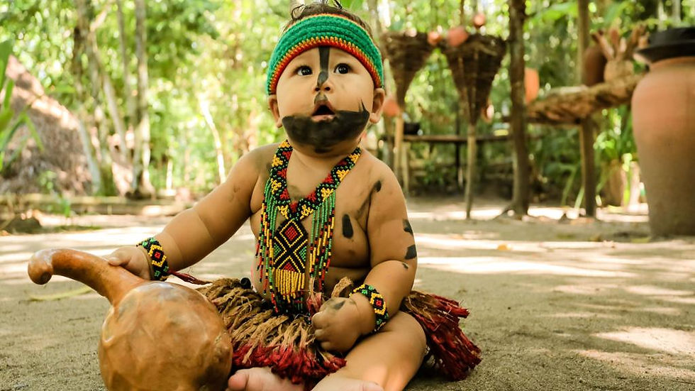 Thumbnail: Jaqueira Indigenous Reserve Village - Full-day Tour