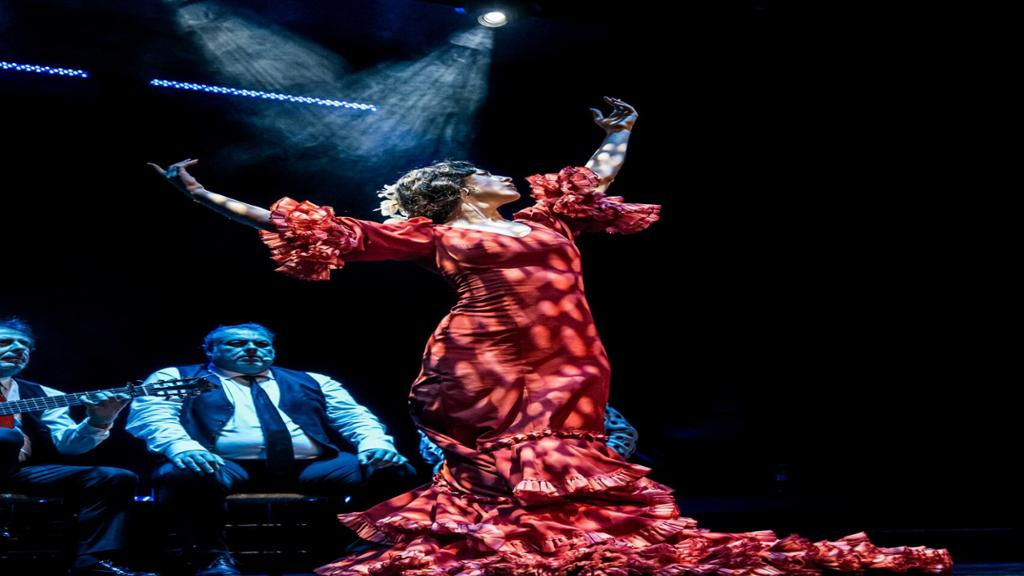 Flamenco show