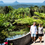 Thumbnail: Garden & Aviary Entry