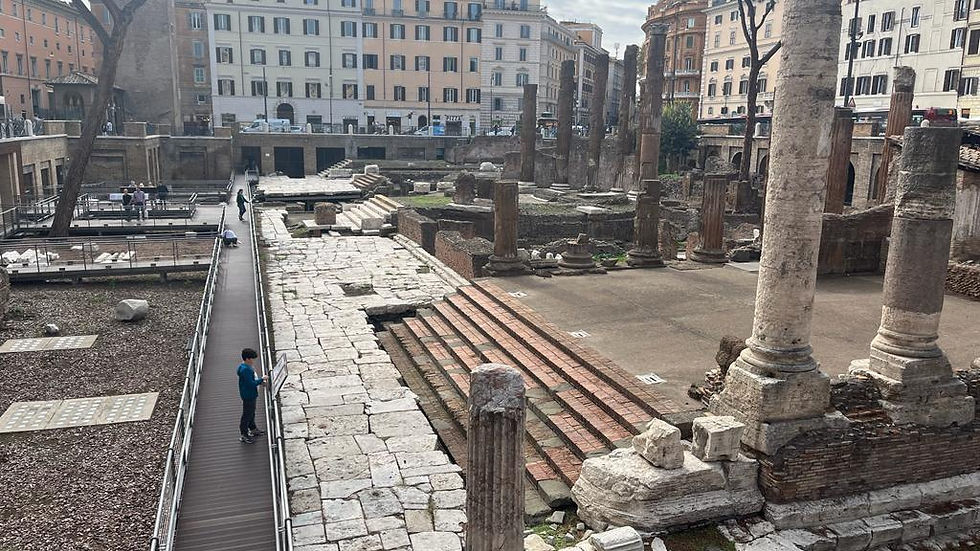 Thumbnail: Ticket - Area Sacra Torre Argentina