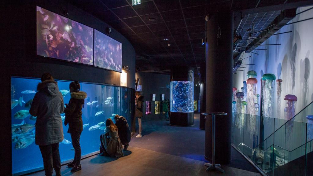 Aquarium de Paris - Ticket