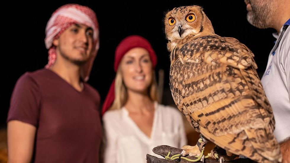 Thumbnail: Private Night Safari and Astronomy Tour with Dinner