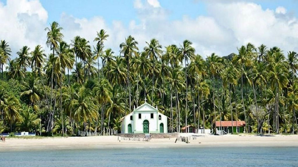 Thumbnail: Carneiros Beach Tour with Boat and Return Airport Transfer 