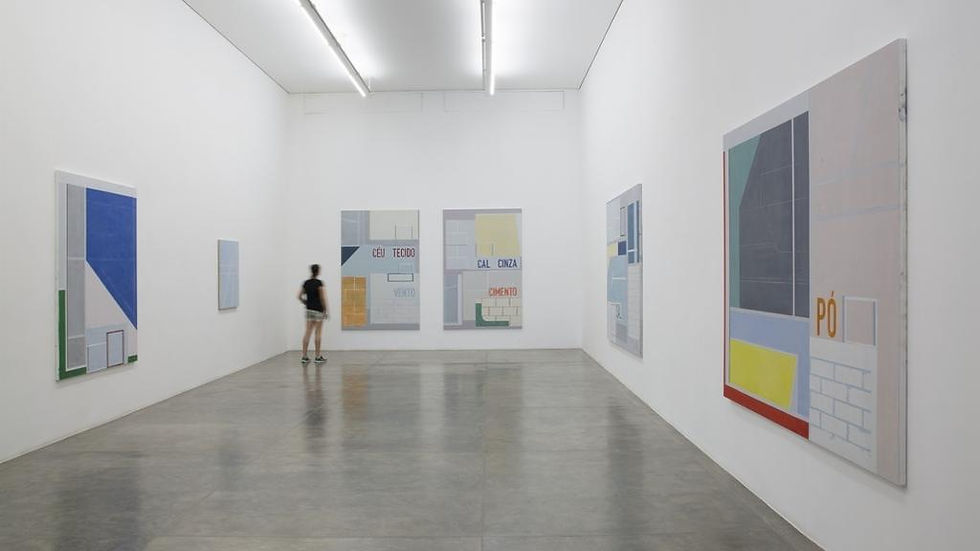 Thumbnail: Art Galleries in Sao Paulo