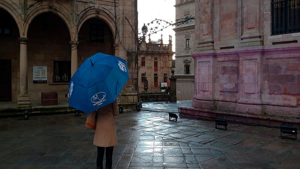 Thumbnail: Santiago de Compostela Templars and the Goose Game - Private Tour