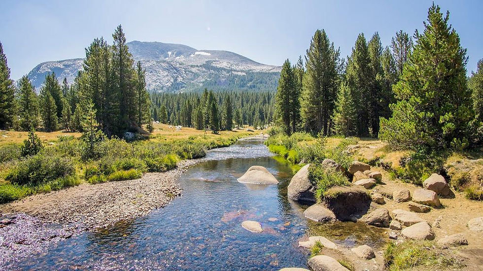 Thumbnail: Yosemite National Park - Full-Day Tour