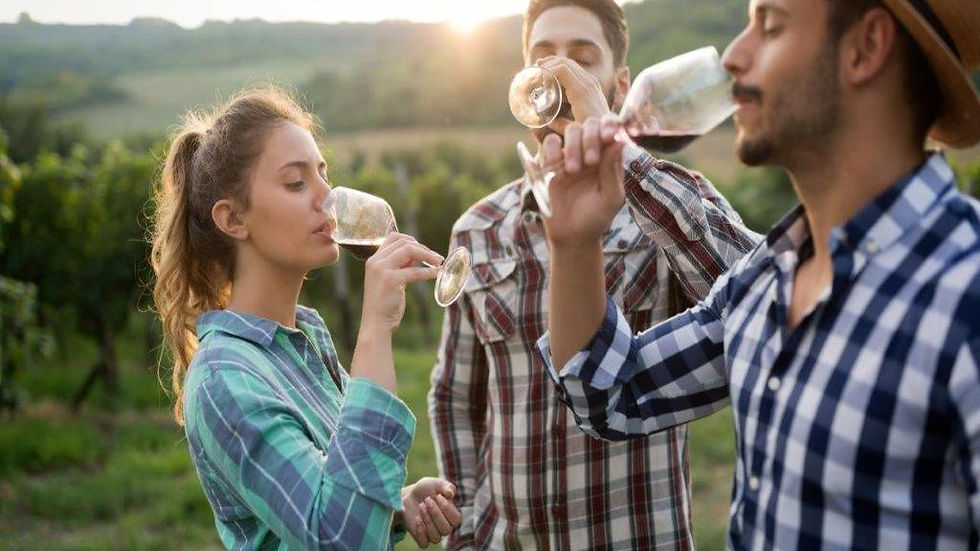 Thumbnail: Chianti's Colours and Flavours - Half-Day Tour with Wine Tasting