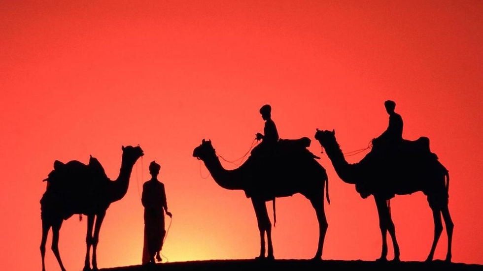 Thumbnail: Combo Tour: Explore Dubai City  and Desert Safari with Dinner