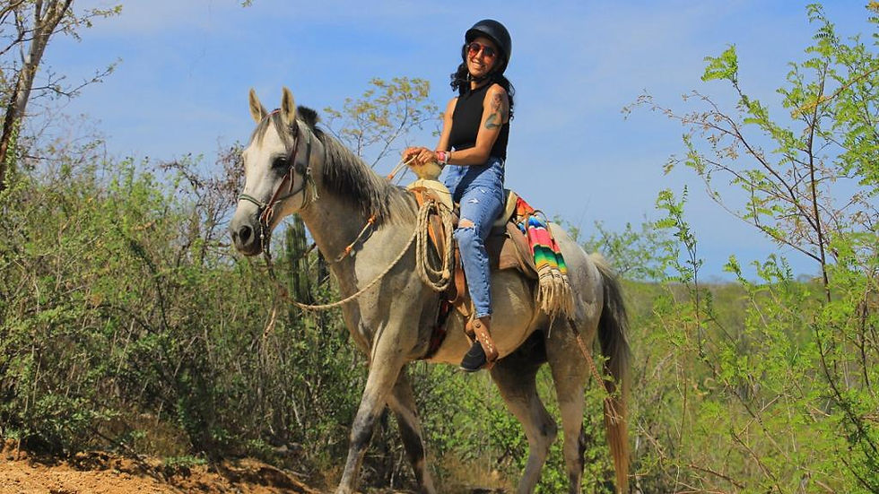 Thumbnail: The Great Fandango - Horseback Riding Tour