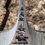 Thumbnail:  Wild Canyon Adventure: Triple Thrill - Ticket with Hotel Transfers