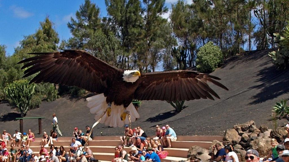 Thumbnail: Rancho Texas Lanzarote Park - Ticket