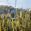 Thumbnail: Sea To Sky Gondola - Ticket