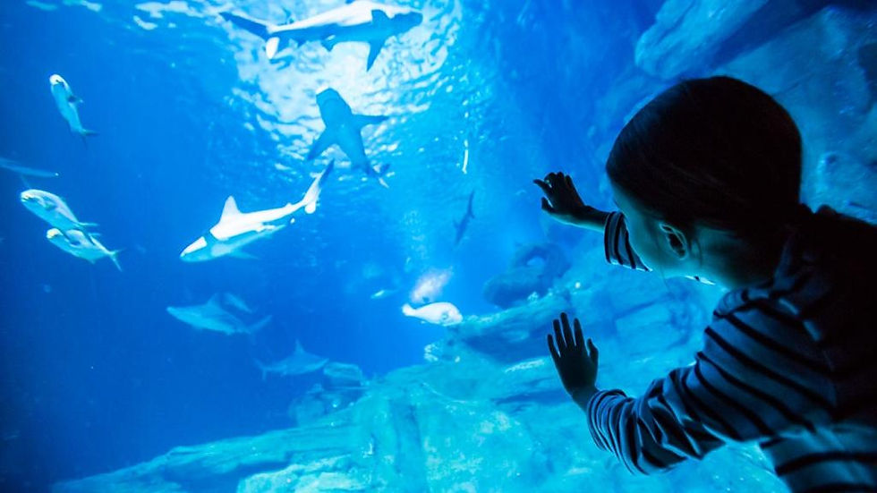 Thumbnail: Aquarium de Paris - Ticket