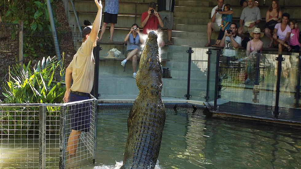 Thumbnail: Hartley's Crocodile Adventures - Ticket with Transfers