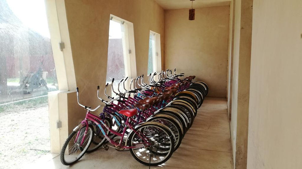 Thumbnail: Cenotes Cuzamá Tour