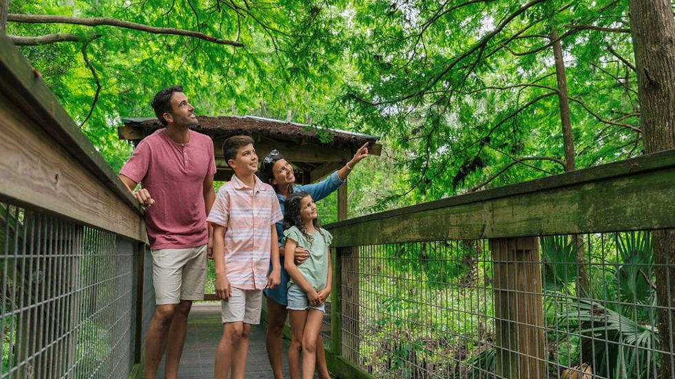 Thumbnail: Wild Florida Gator Park- Ticket