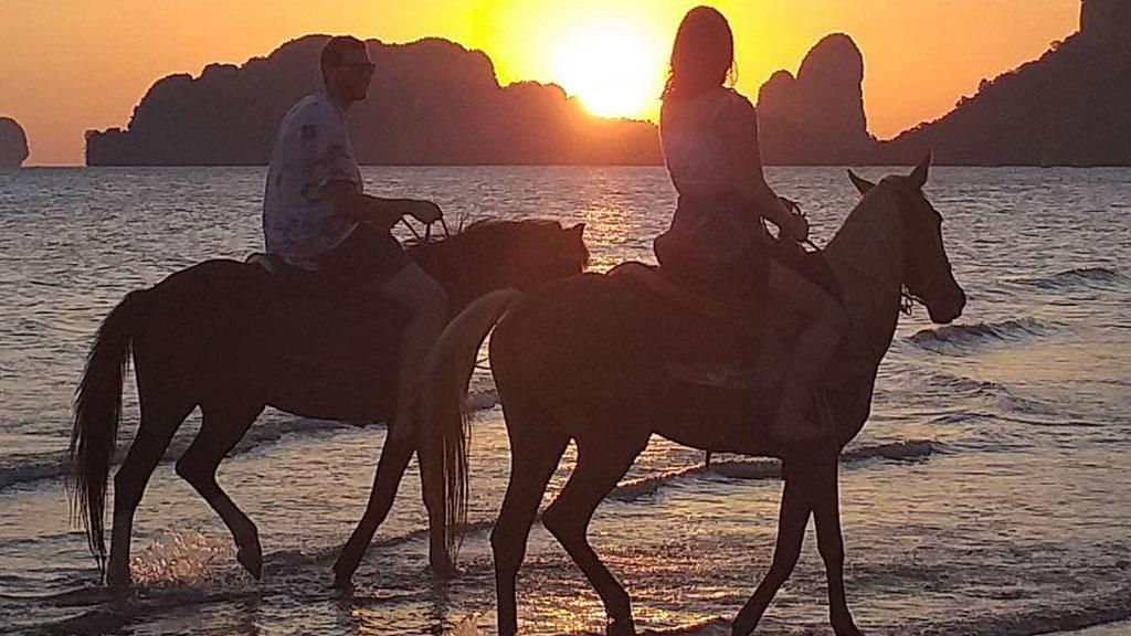 Krabi Horse Courses