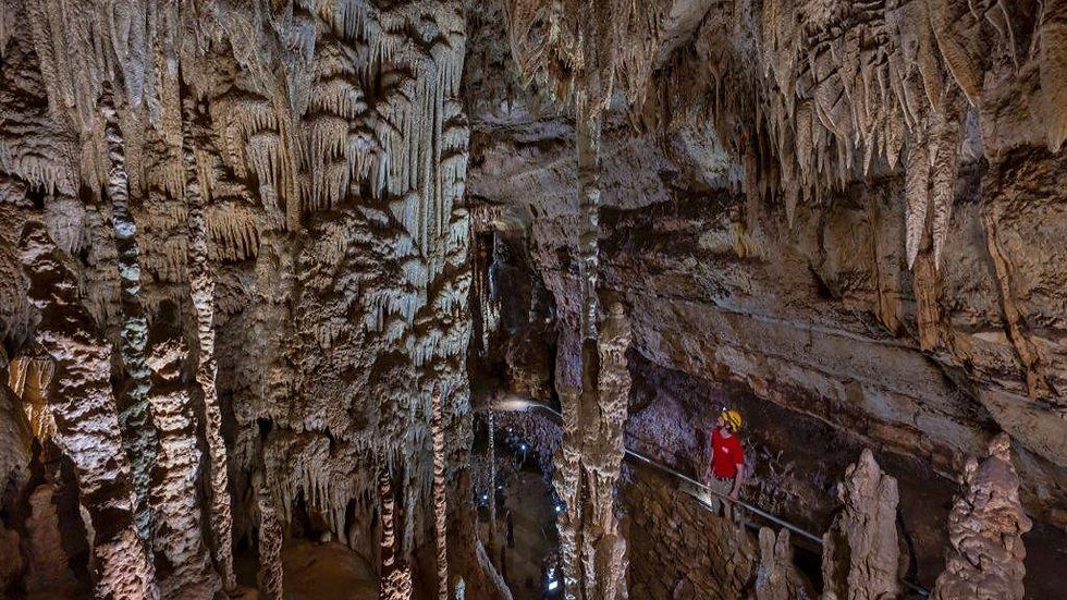 Thumbnail: Natural Bridge Caverns Discovery Tour