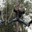 Thumbnail: Tree Trek Orlando