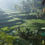 Thumbnail: Bali Private Tour
