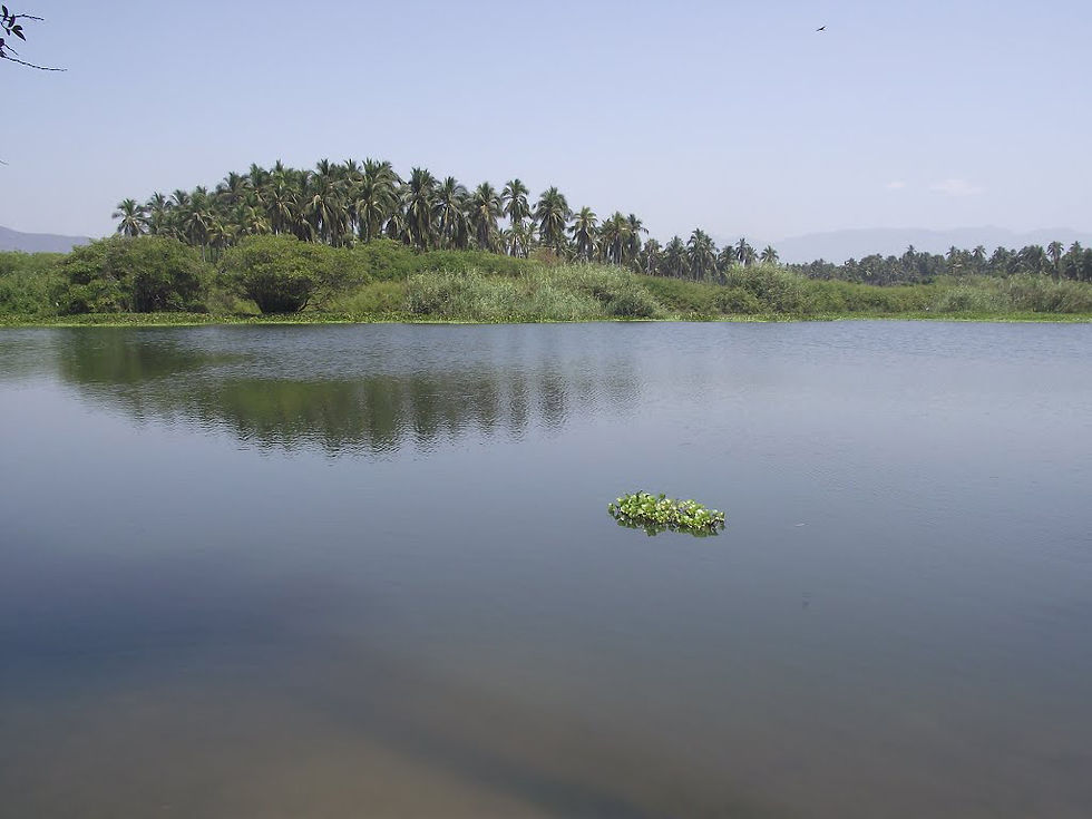 Thumbnail: Coyuca Lagoon