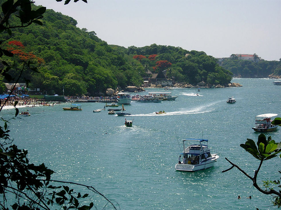 Thumbnail: Glass-Bottom Boat Tour - with Transportation