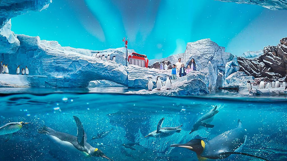 Thumbnail: Abu Dhabi Mosque & Sea World Tour