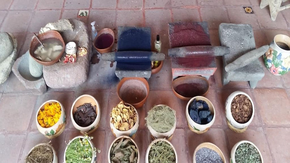 Thumbnail: El Tule, Teotitlan del Valle, Mitla and Hierve el Agua - Full-Day Tour