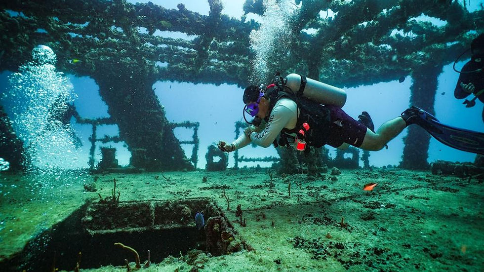 Thumbnail: Certified Diving in the Sunken Ship